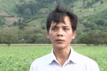 Lâm tặc hoàn lương trở thành người bảo vệ rừng