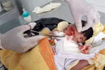 Kinh hoàng phát hiện bé sơ sinh ngọ nguậy dưới lòng đất