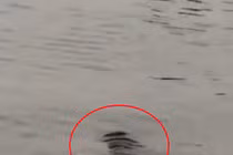 Đang đi dạo, rùng mình phát hiện thi thể lập lờ trên hồ Tây