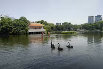 Phát hiện thi thể người đàn ông dưới hồ Thiền Quang, Hà Nội