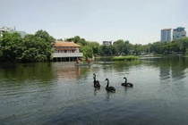 Phát hiện thi thể người đàn ông dưới hồ Thiền Quang, Hà Nội