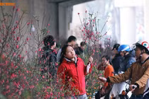 Thời tiết Tết Mậu tuất: Trời ấm, thuận lợi để du xuân