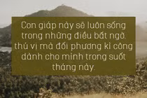 3 con giáp sau sẽ có chuyện tình yêu đáng ghen tị nhất trong tháng 2