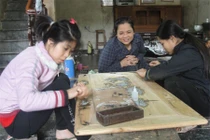 Nghị lực phi thường của người phụ nữ “đi bằng hai tay”