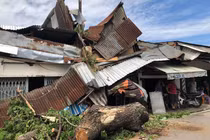 Hiện trường cây cổ thụ “khủng” đè sập nhà dân ở TP HCM