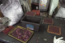 Công an lần ra ổ chế thuốc chữa ung thư từ than tre của Vinaca thế nào?