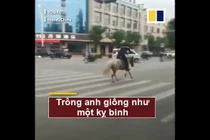 Video: Cái kết đau đớn của chàng trai cưỡi ngựa trên phố