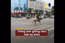 Video: Cái kết đau đớn của chàng trai cưỡi ngựa trên phố