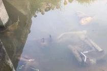 Bắc Giang: Rụng rời phát hiện thi thể 2 thanh niên dưới mương