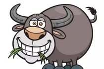 3 con giáp có chuyện tình ái ngọt ngào, viên mãn nhất trong năm Mậu Tuất