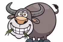 3 con giáp có chuyện tình ái ngọt ngào, viên mãn nhất trong năm Mậu Tuất