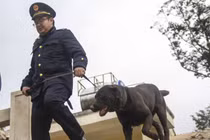 Điều chưa biết về đội khuyển binh canh vùng biên giới ở Việt Nam