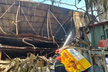 Cháy công ty Rạng Đông: Không ăn thực phẩm nuôi trồng trong bán kính 1km