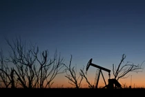 Mua mảnh đất rẻ như cho không ngờ đang ngồi trên “mỏ vàng” trong lòng đất