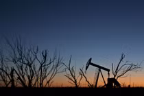 Mua mảnh đất rẻ như cho không ngờ đang ngồi trên “mỏ vàng” trong lòng đất