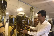 Đại gia Hà thành chi chục triệu thuê ô tô riêng chở một củ sâm quý