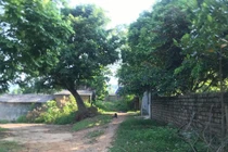 Nghi án 2 người đàn ông U60 xâm hại tình dục 2 chị em ruột, 1 cháu mang thai