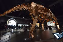 Trái đất biến đổi đột ngột, sinh ra loạt “quái vật” siêu khủng