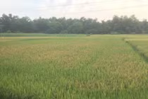 Hiếp dâm bất thành, nam thanh niên bị cô gái gọi người nhà ra đánh