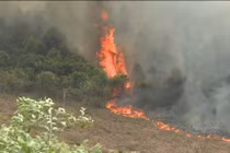 Hàng loạt vụ cháy rừng ở Quảng Bình, Nghệ An, Hà Tĩnh