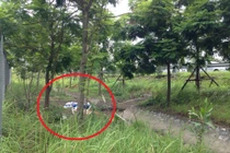 Phát hiện 1 thi thể bốc mùi hôi thối, đang phân rã 