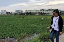 Vạch mặt nhiều công ty bán dự án “ma” như Alibaba