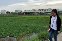 Vạch mặt nhiều công ty bán dự án “ma” như Alibaba