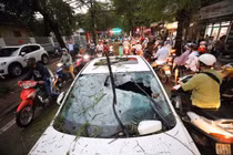 Ảnh hưởng bão số 4, la liệt cảnh cây đổ, đè xe, đè người...