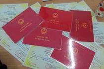 Bao nhiêu quan Việt xài bằng cấp không hợp pháp? 