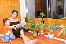 Nhà chục tỷ, sang chảnh cực độ của Phi Thanh Vân sau ly hôn