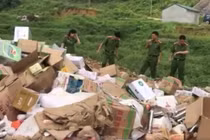 Lạng Sơn: Tiêu hủy hàng hóa nhập lậu có giá trị hàng tỷ đồng