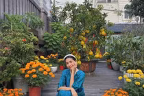 Hà Tăng diện áo dài Tết, khí chất chuẩn dâu hào môn