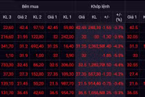 Cổ phiếu ngân hàng bị bán tháo, VN-Index mất hơn 13 điểm