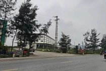 Lý do Hải Dương thu hồi đất của Công ty thực phẩm Tin Tin