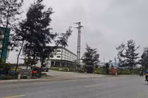 Lý do Hải Dương thu hồi đất của Công ty thực phẩm Tin Tin