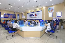 BIDV siết khoản nợ gần 500 tỷ được thế chấp bằng cổ phiếu Thời trang NEM