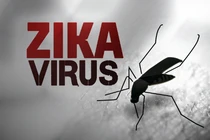 Một du khách Úc nhiễm virus Zika sau khi trở về từ Việt Nam