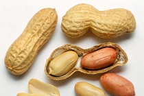 Càng ăn các loại hạt càng sống lâu