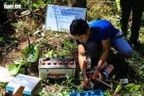 Khoan lỗ 20 cm rồi đổ thuốc diệt cỏ hạ độc 3.500 cây thông ở Lâm Đồng