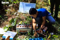 Khoan lỗ 20 cm rồi đổ thuốc diệt cỏ hạ độc 3.500 cây thông ở Lâm Đồng