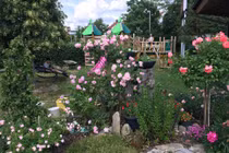 Khu vườn 700m2 đẹp tựa xứ sở thiên đường của bà mẹ 4 con