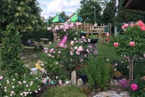 Khu vườn 700m2 đẹp tựa xứ sở thiên đường của bà mẹ 4 con