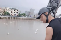 Thanh niên cầm vợt ra hồ xem thiên nga bị cộng đồng mạng “dập” tơi tả