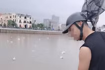 Thanh niên cầm vợt ra hồ xem thiên nga bị cộng đồng mạng “dập” tơi tả