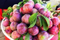 Những ai tuyệt đối không nên ăn mận, dù chỉ một quả?