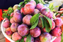 Những ai tuyệt đối không nên ăn mận, dù chỉ một quả?