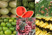 Những loại quả “thuần Việt” chị em thoải mái “rinh” về