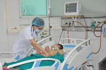 Lào Cai: Viêm não Nhật Bản khiến 2 người tử vong