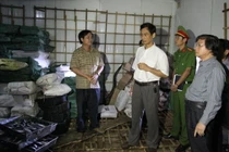 Tranh cãi về chất phenol trong 30 tấn cá nục ở Quảng Trị