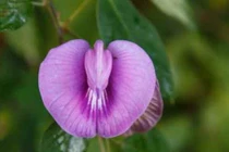 Mẹo chọn dung dịch vệ sinh phụ nữ an toàn hiệu quả